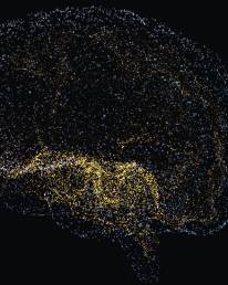 Neural AI Web Thumbnail