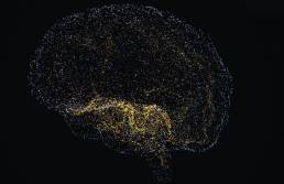 Neural AI Web Thumbnail