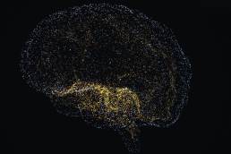 Neural AI Web Thumbnail