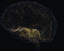 Neural AI Web Thumbnail